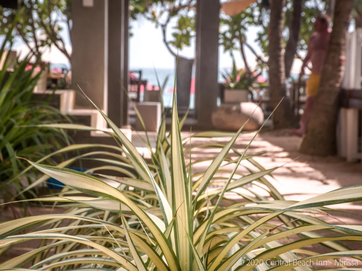 Central Beach Inn Mirissa Ngoại thất bức ảnh
